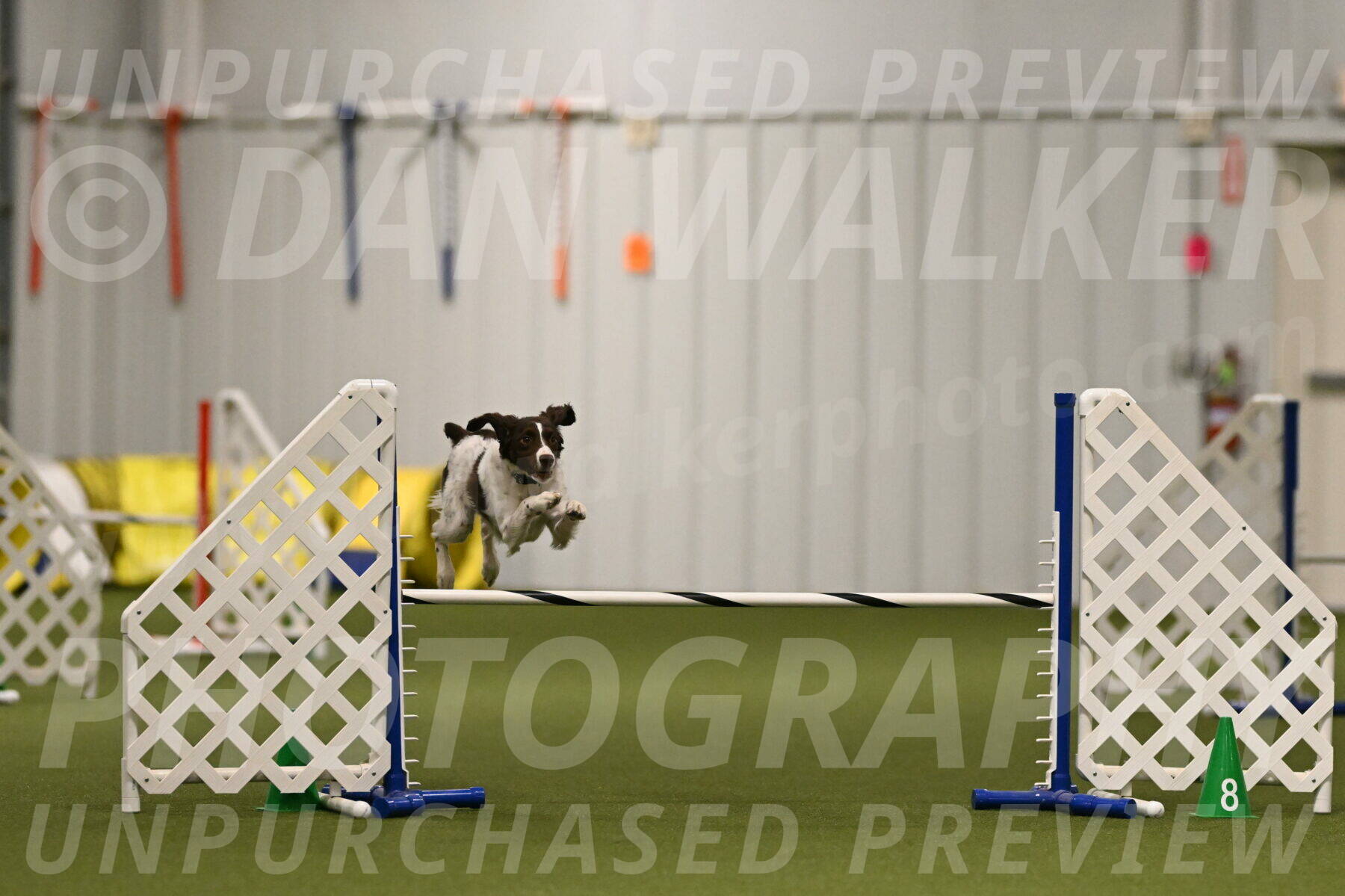 Karma-Sandy-and-Jeff-Crighton-03290