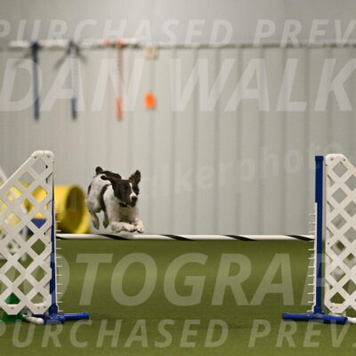 Karma-Sandy-and-Jeff-Crighton-03291