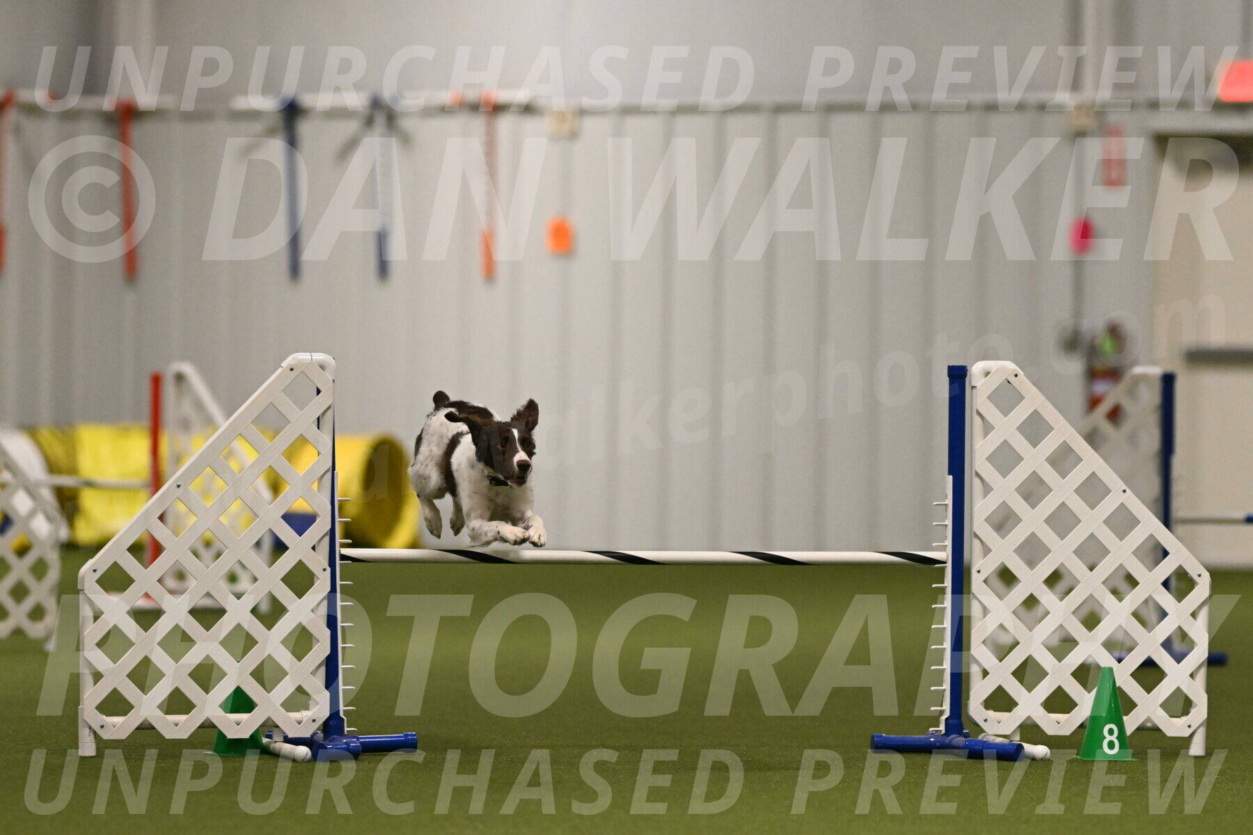 Karma-Sandy-and-Jeff-Crighton-03291