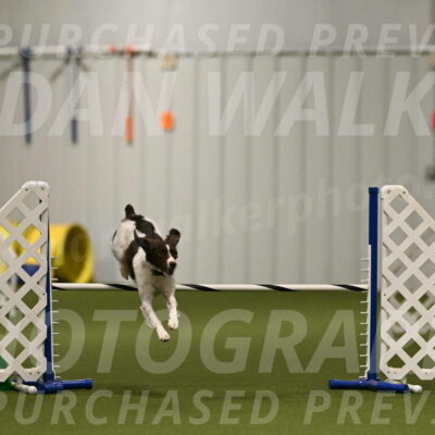 Karma-Sandy-and-Jeff-Crighton-03292