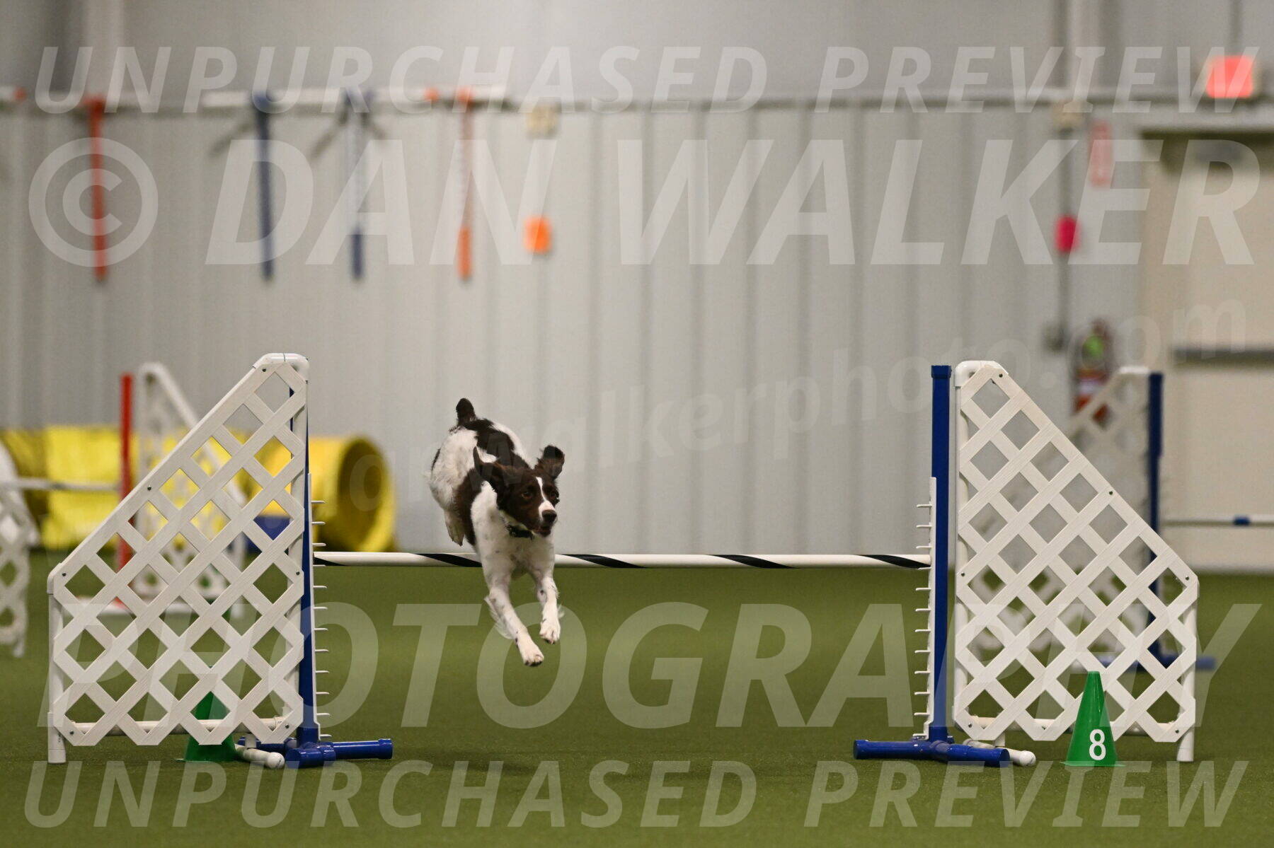 Karma-Sandy-and-Jeff-Crighton-03292