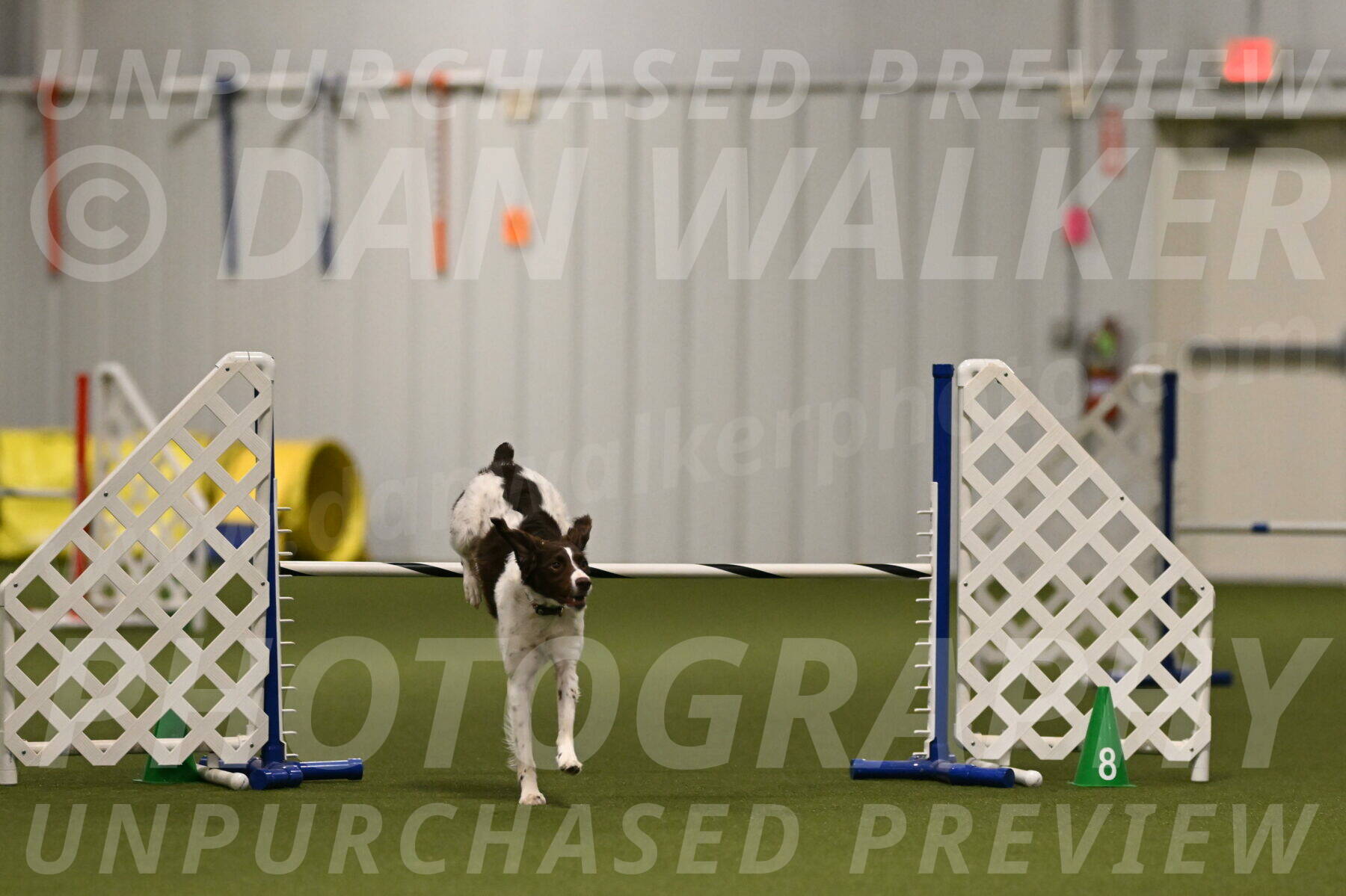 Karma-Sandy-and-Jeff-Crighton-03293