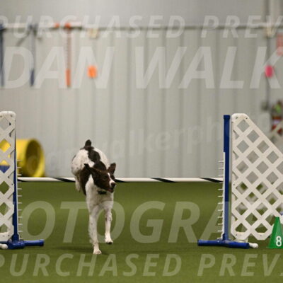 Karma-Sandy-and-Jeff-Crighton-03293