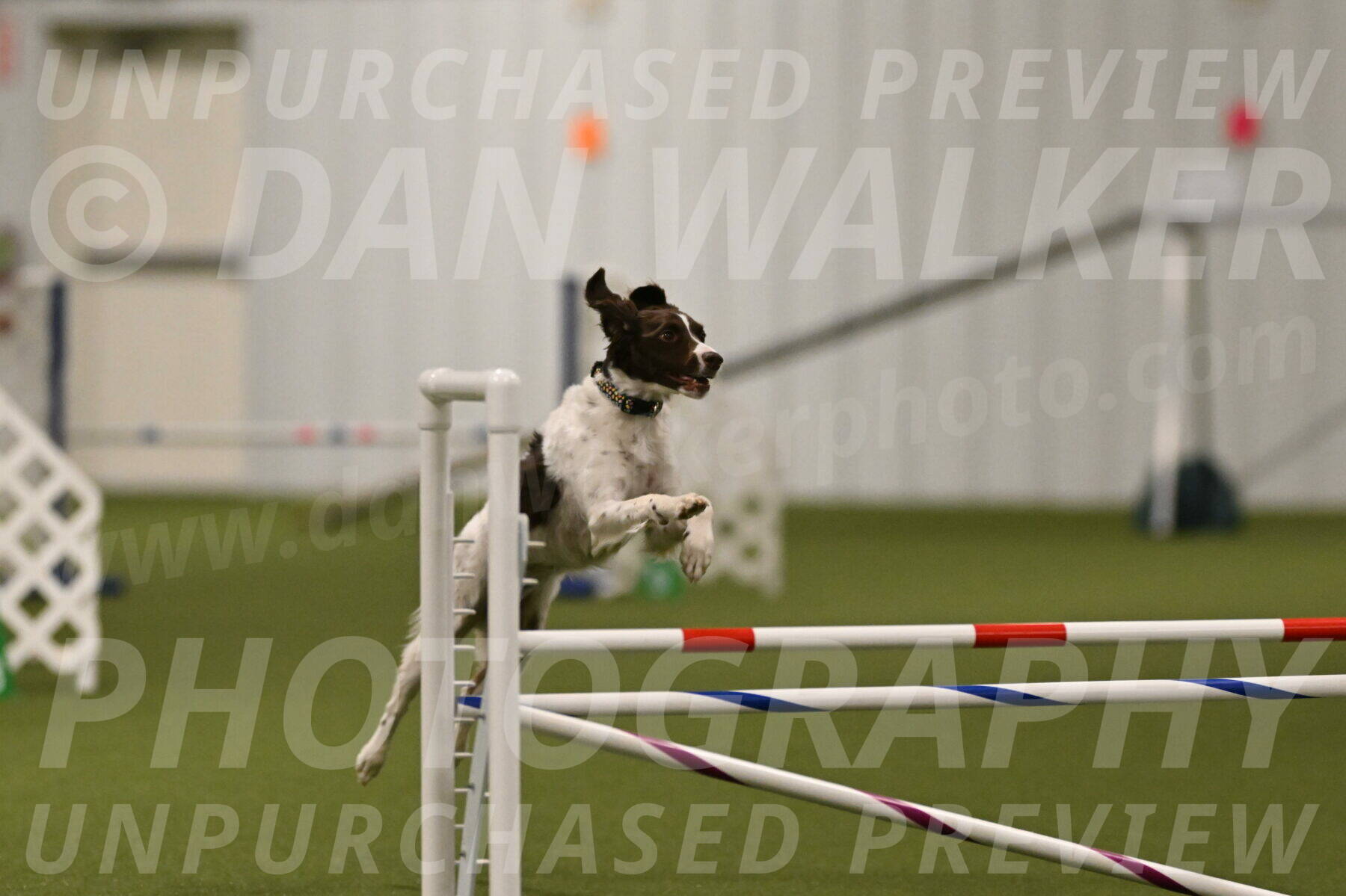 Karma-Sandy-and-Jeff-Crighton-03294