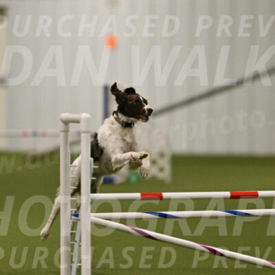 Karma-Sandy-and-Jeff-Crighton-03294