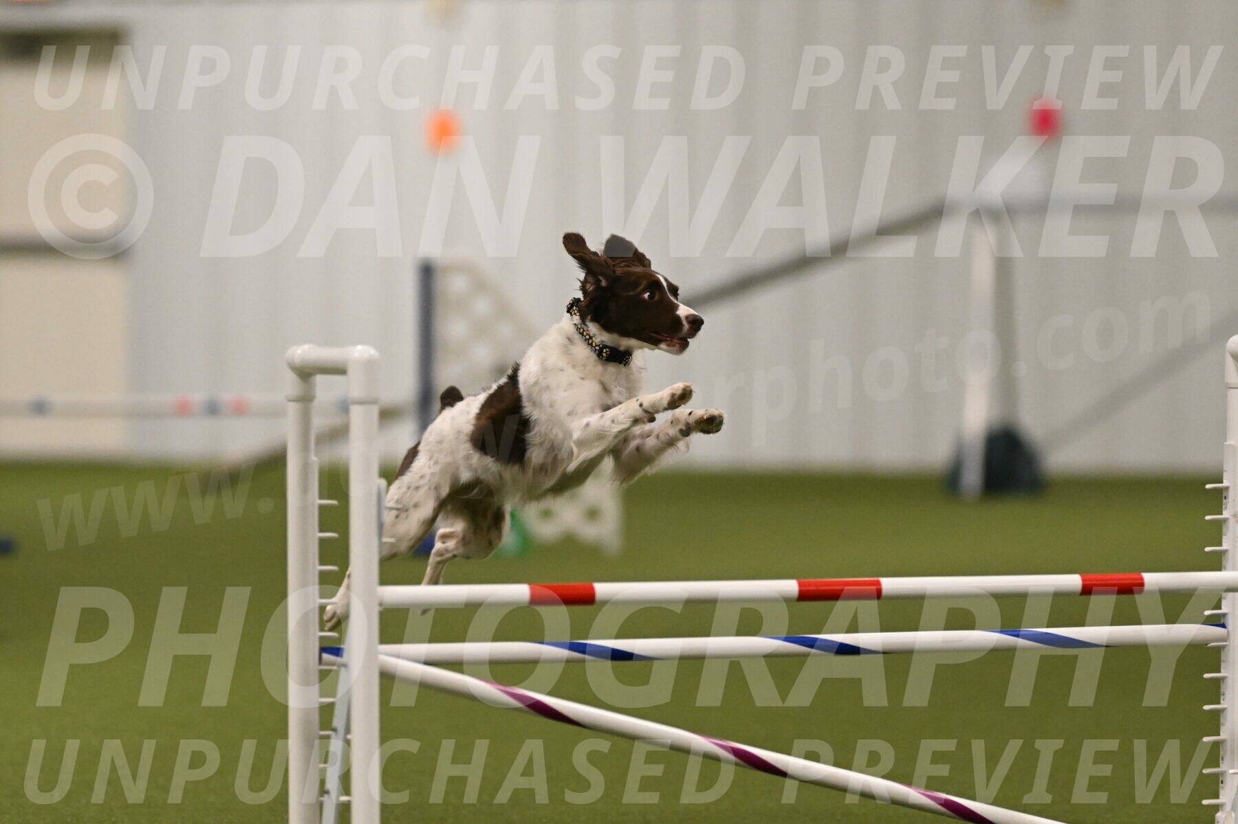 Karma-Sandy-and-Jeff-Crighton-03295