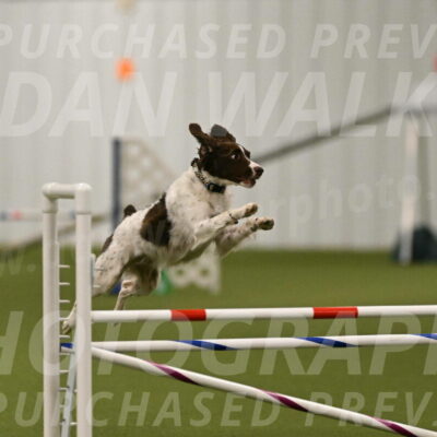 Karma-Sandy-and-Jeff-Crighton-03295