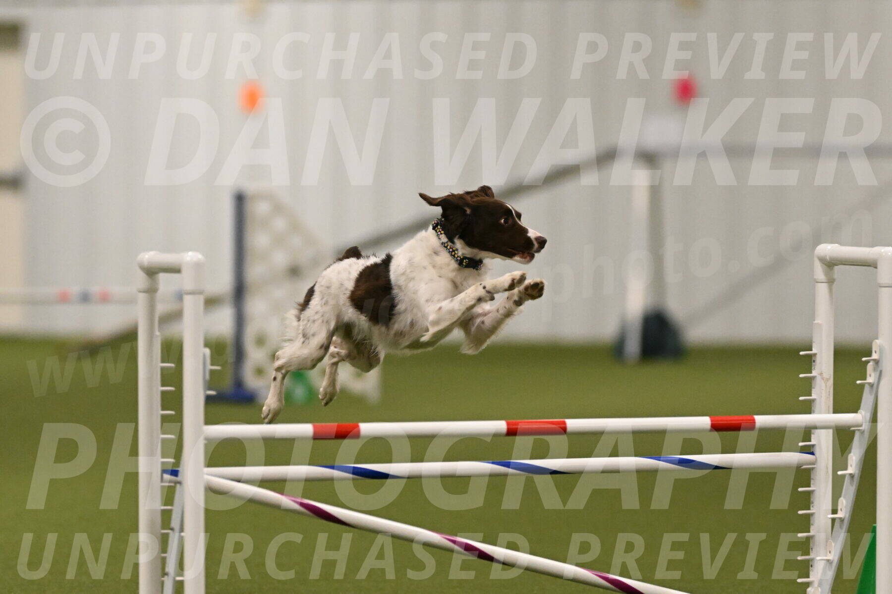 Karma-Sandy-and-Jeff-Crighton-03296