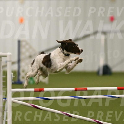 Karma-Sandy-and-Jeff-Crighton-03296