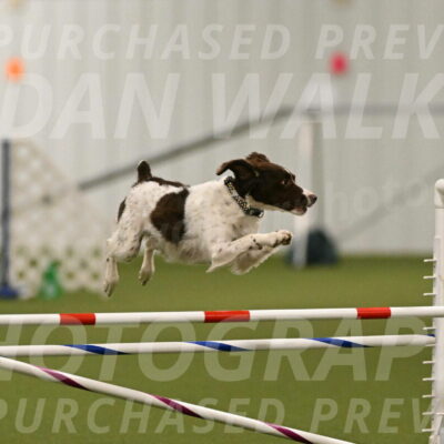 Karma-Sandy-and-Jeff-Crighton-03297