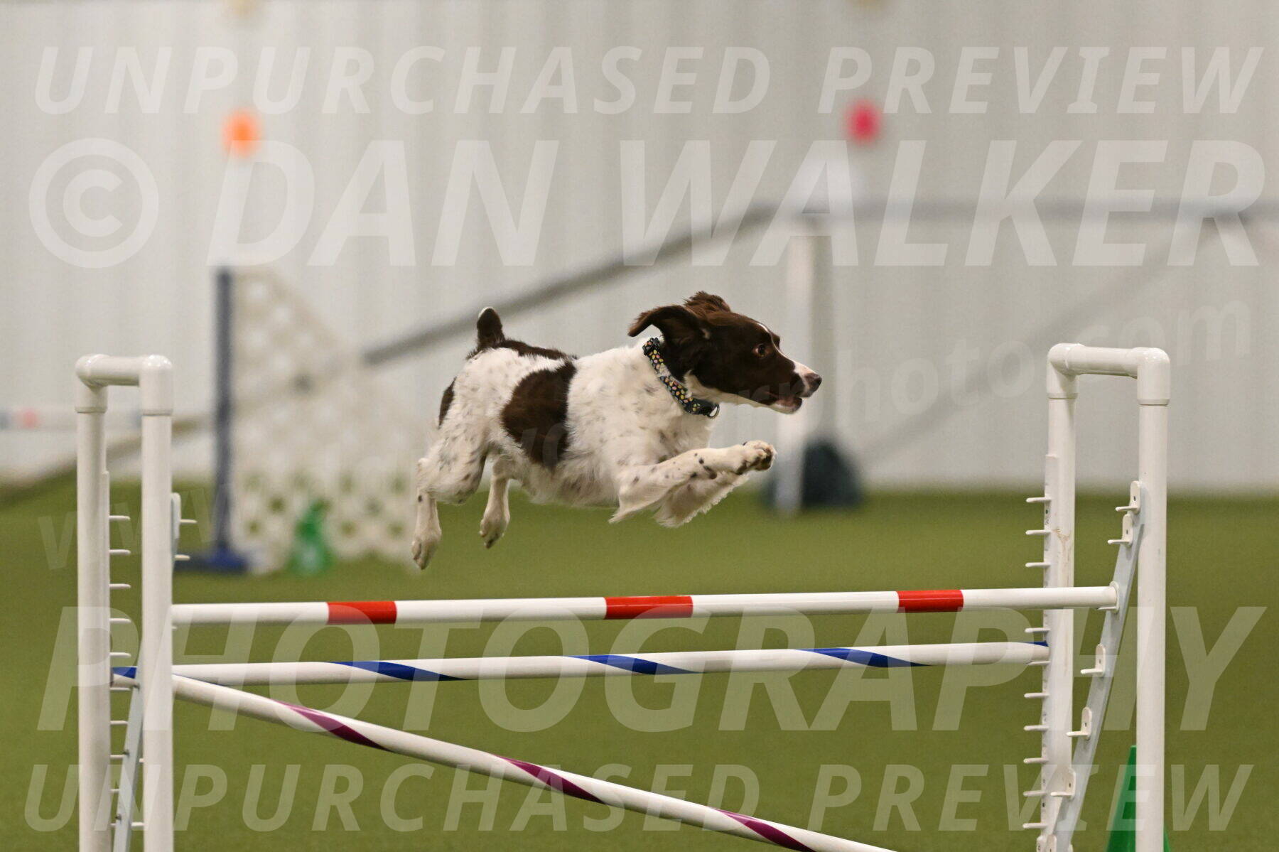 Karma-Sandy-and-Jeff-Crighton-03297