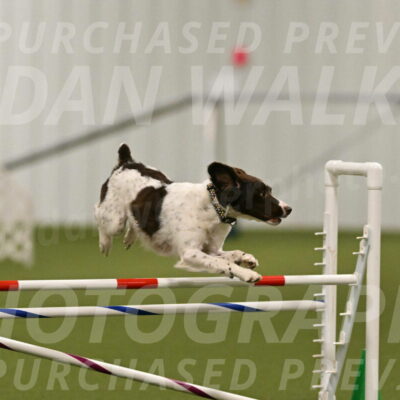 Karma-Sandy-and-Jeff-Crighton-03298