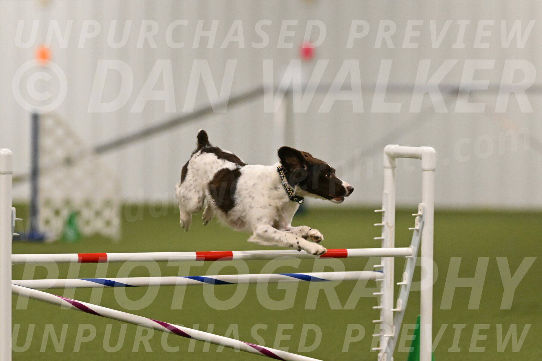 Karma-Sandy-and-Jeff-Crighton-03298