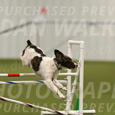 Karma-Sandy-and-Jeff-Crighton-03299