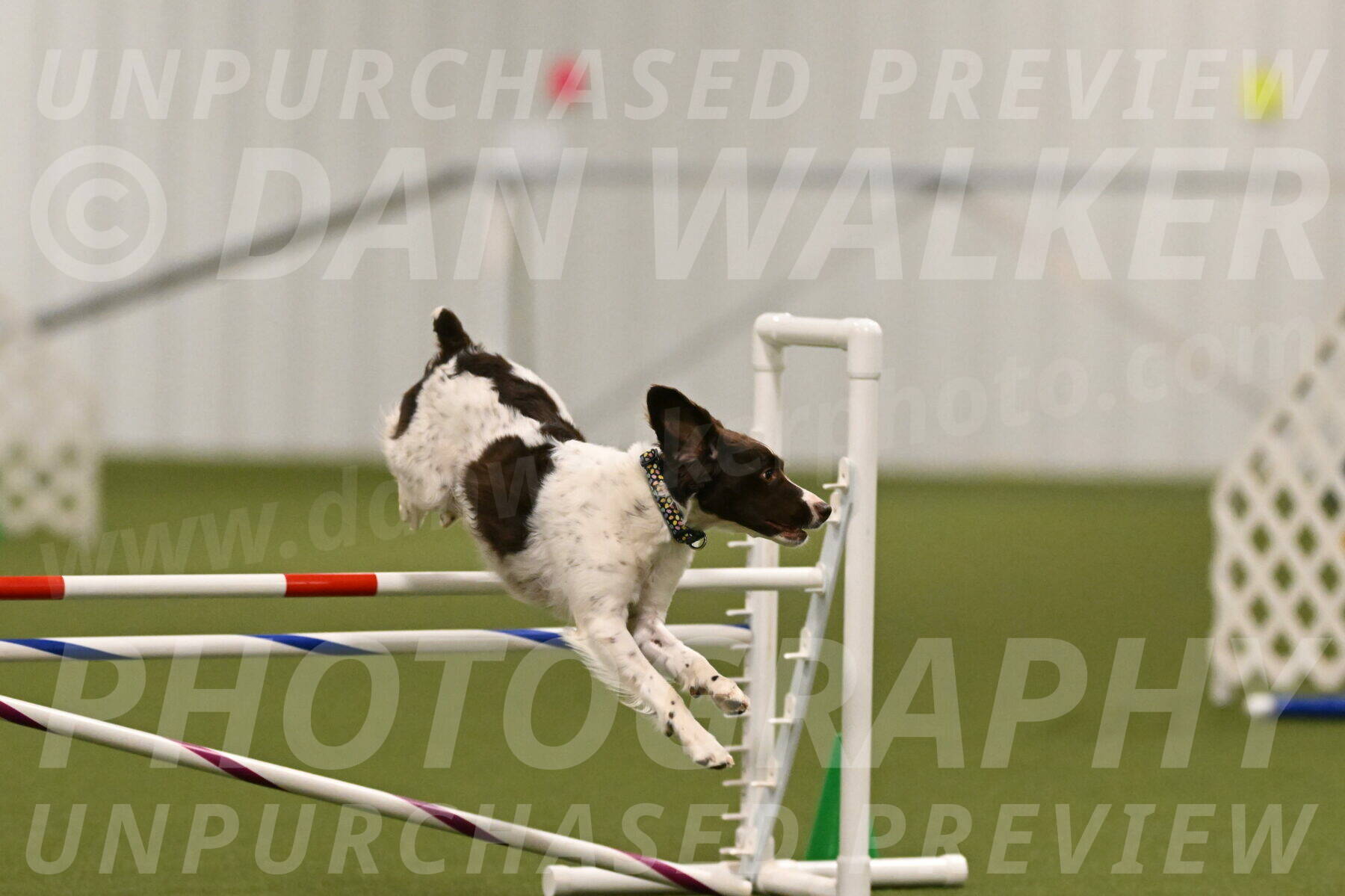 Karma-Sandy-and-Jeff-Crighton-03299