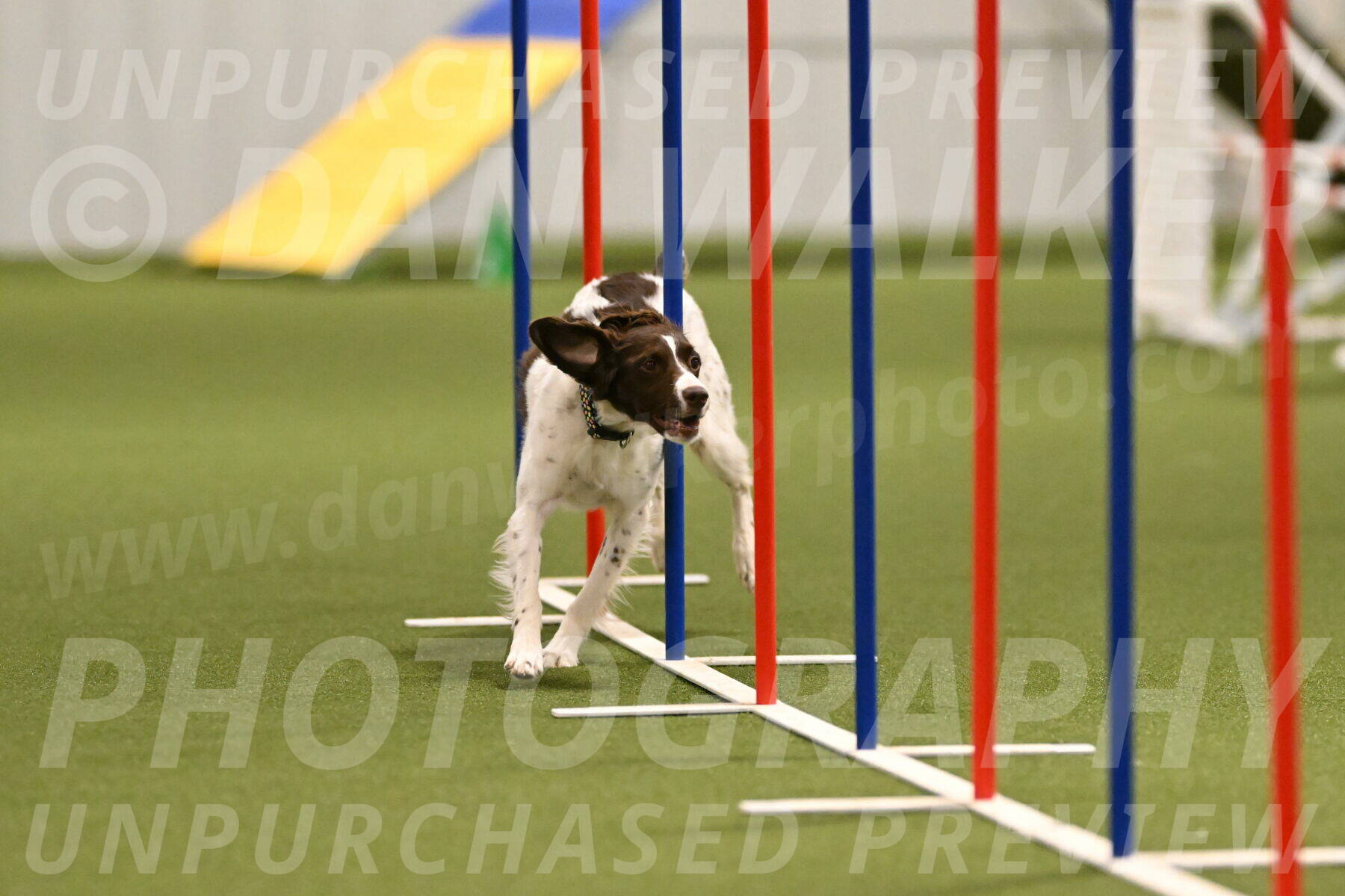 Karma-Sandy-and-Jeff-Crighton-03300