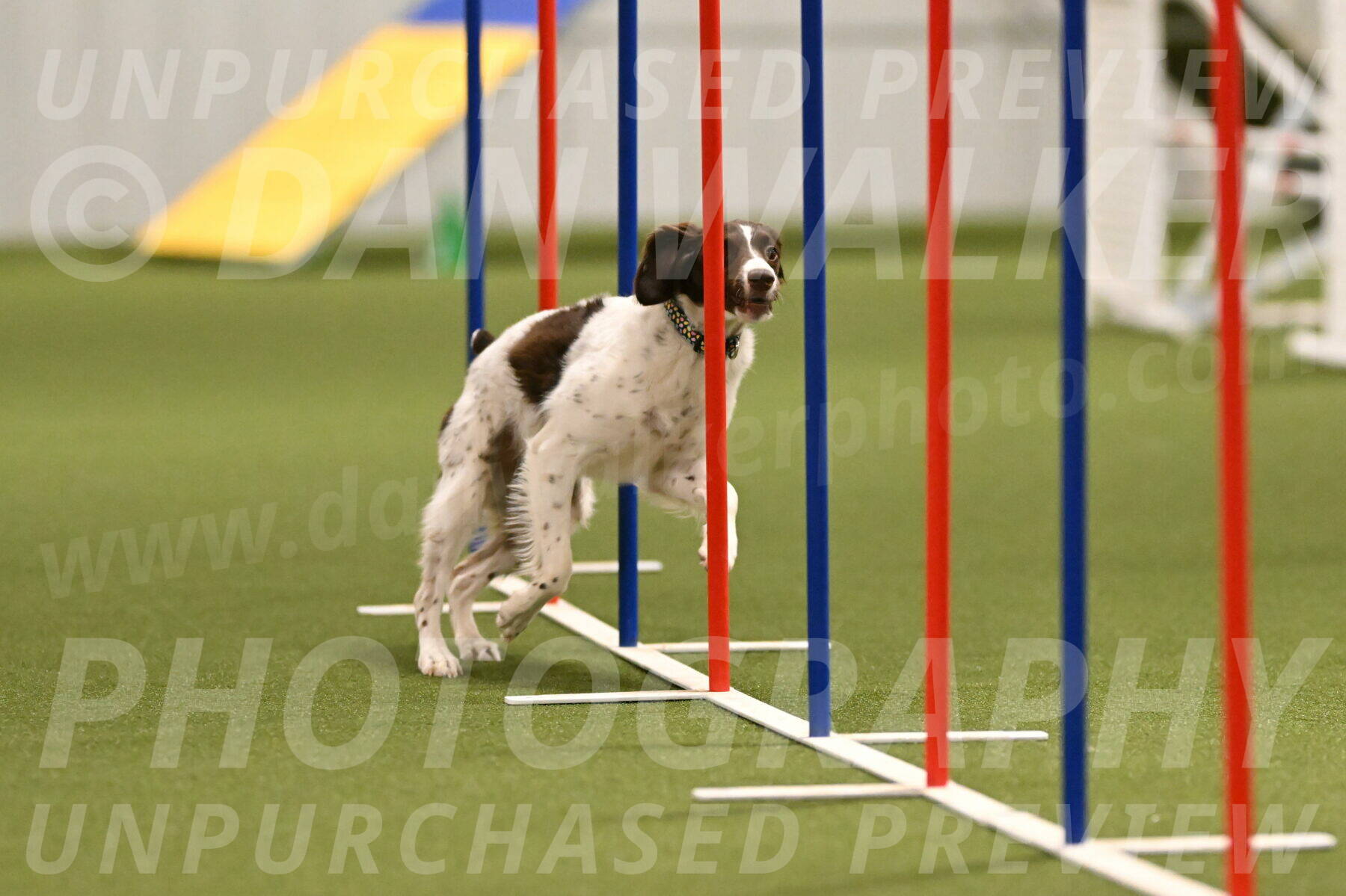 Karma-Sandy-and-Jeff-Crighton-03301