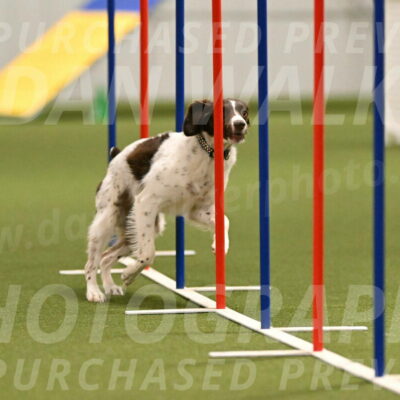 Karma-Sandy-and-Jeff-Crighton-03301