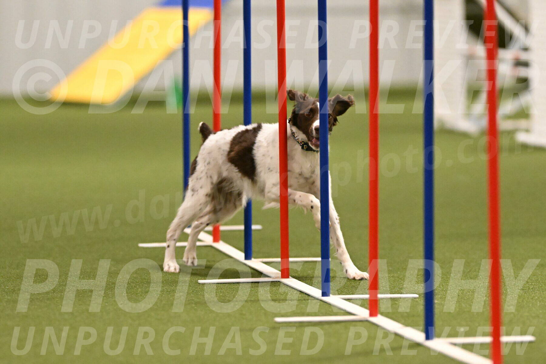 Karma-Sandy-and-Jeff-Crighton-03302