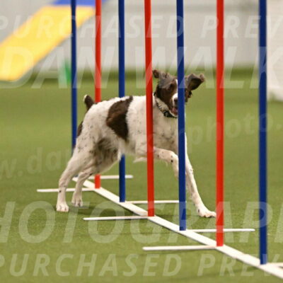 Karma-Sandy-and-Jeff-Crighton-03302