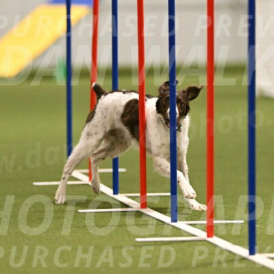 Karma-Sandy-and-Jeff-Crighton-03303