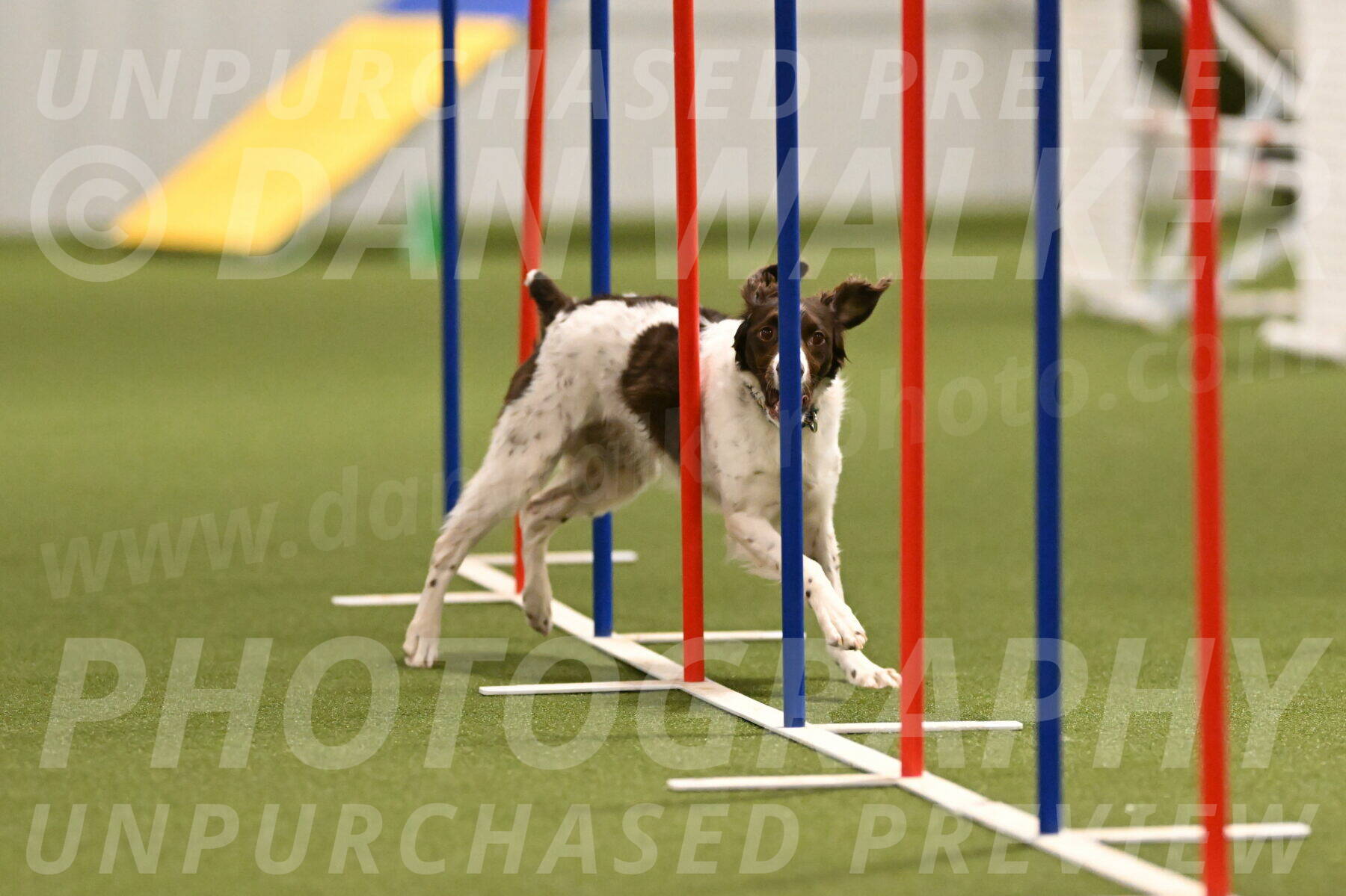 Karma-Sandy-and-Jeff-Crighton-03303