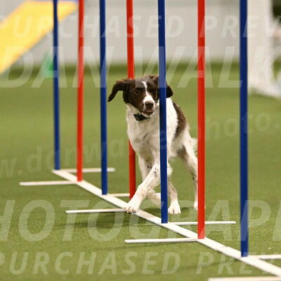 Karma-Sandy-and-Jeff-Crighton-03304