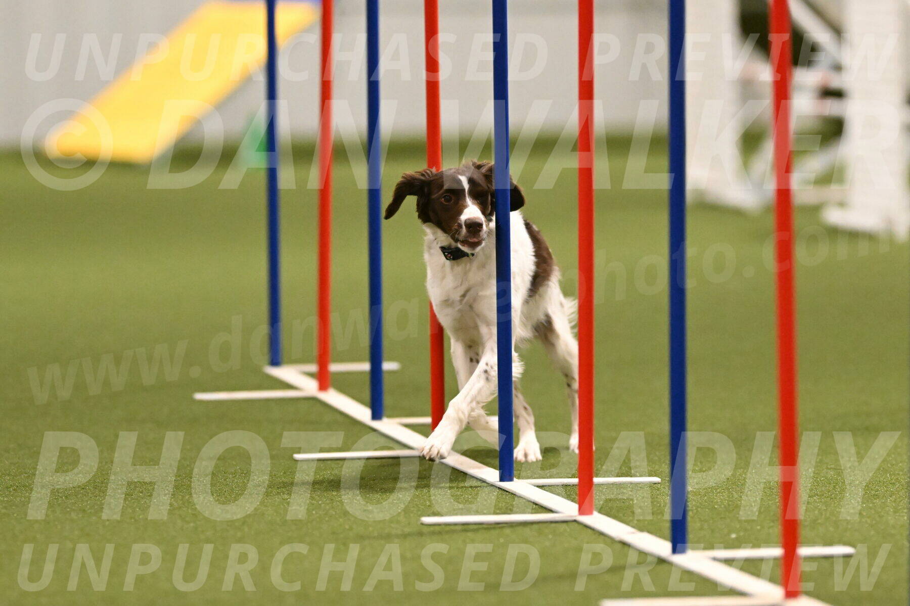 Karma-Sandy-and-Jeff-Crighton-03304