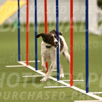 Karma-Sandy-and-Jeff-Crighton-03305