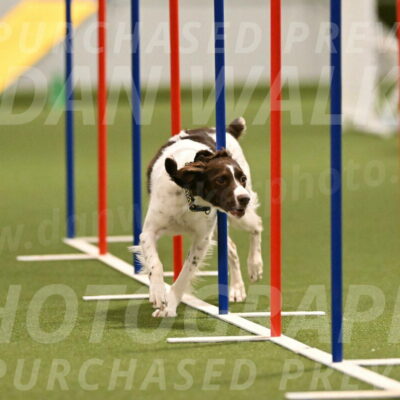 Karma-Sandy-and-Jeff-Crighton-03306