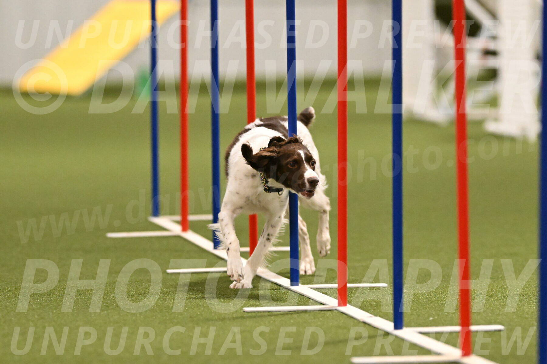 Karma-Sandy-and-Jeff-Crighton-03306