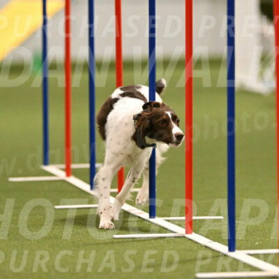 Karma-Sandy-and-Jeff-Crighton-03307