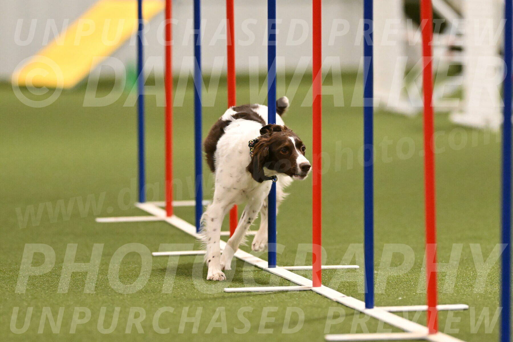 Karma-Sandy-and-Jeff-Crighton-03307