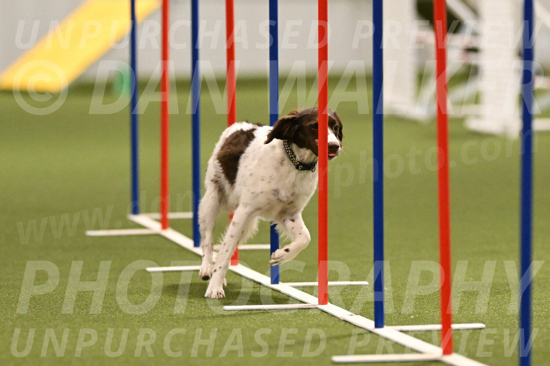 Karma-Sandy-and-Jeff-Crighton-03308