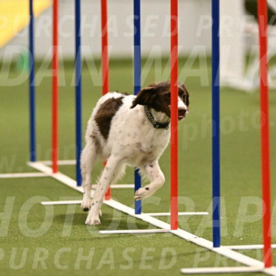 Karma-Sandy-and-Jeff-Crighton-03308