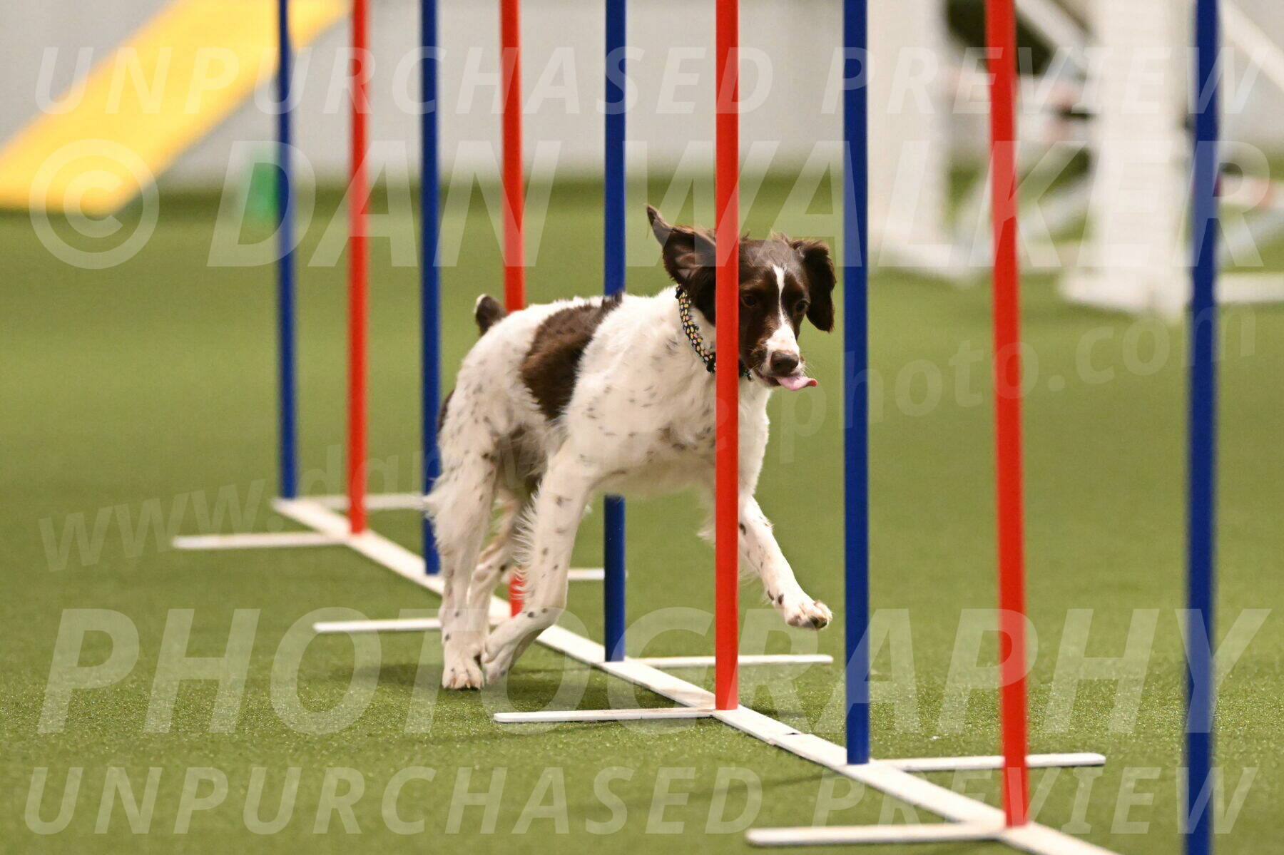 Karma-Sandy-and-Jeff-Crighton-03309