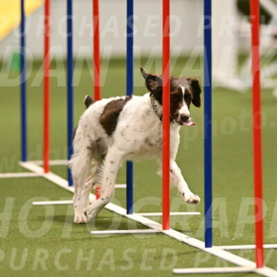 Karma-Sandy-and-Jeff-Crighton-03309