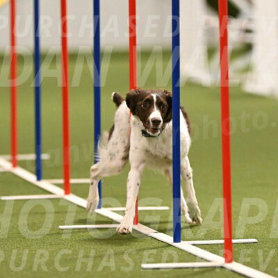 Karma-Sandy-and-Jeff-Crighton-03310