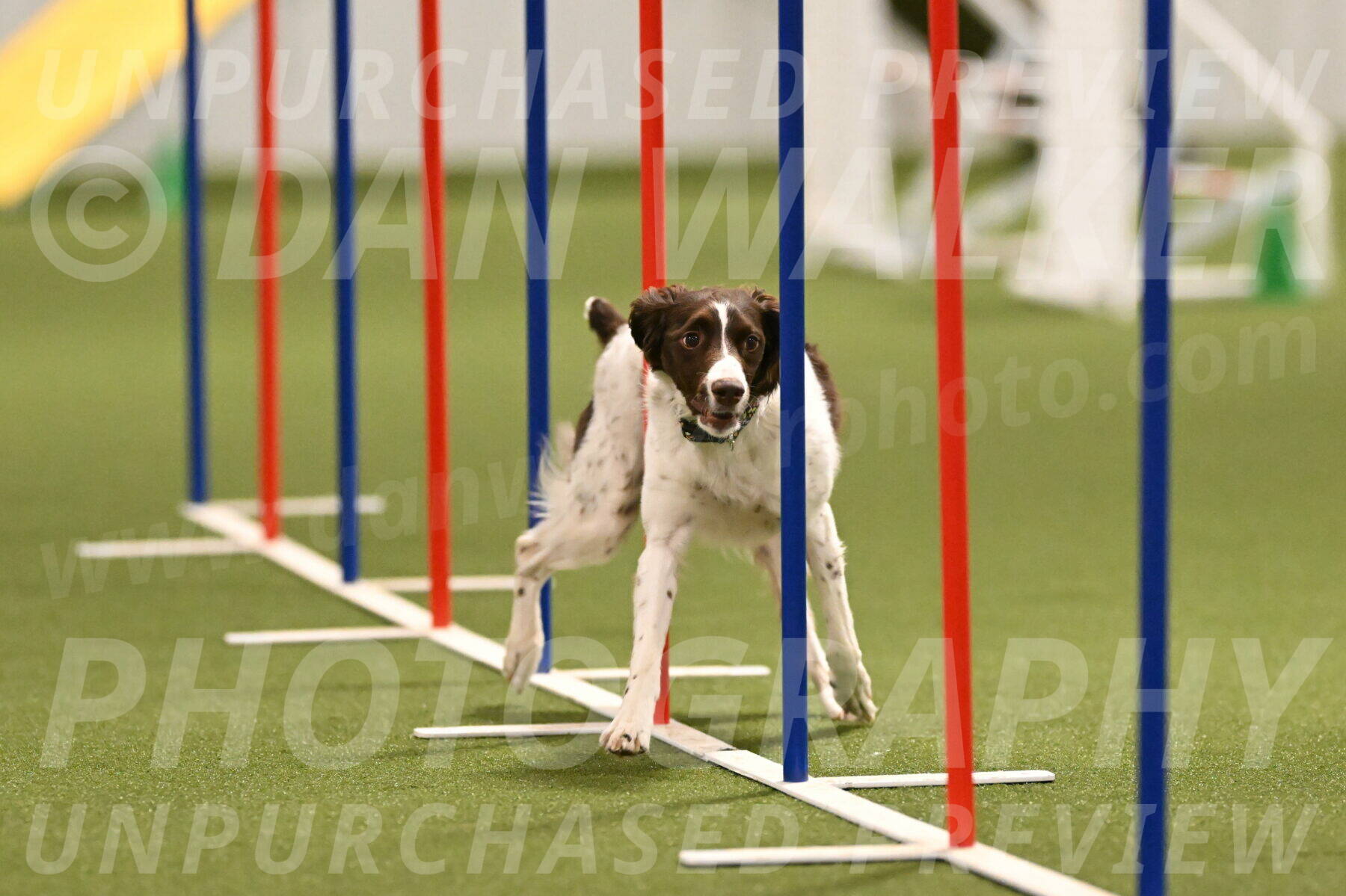 Karma-Sandy-and-Jeff-Crighton-03310