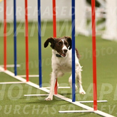 Karma-Sandy-and-Jeff-Crighton-03311