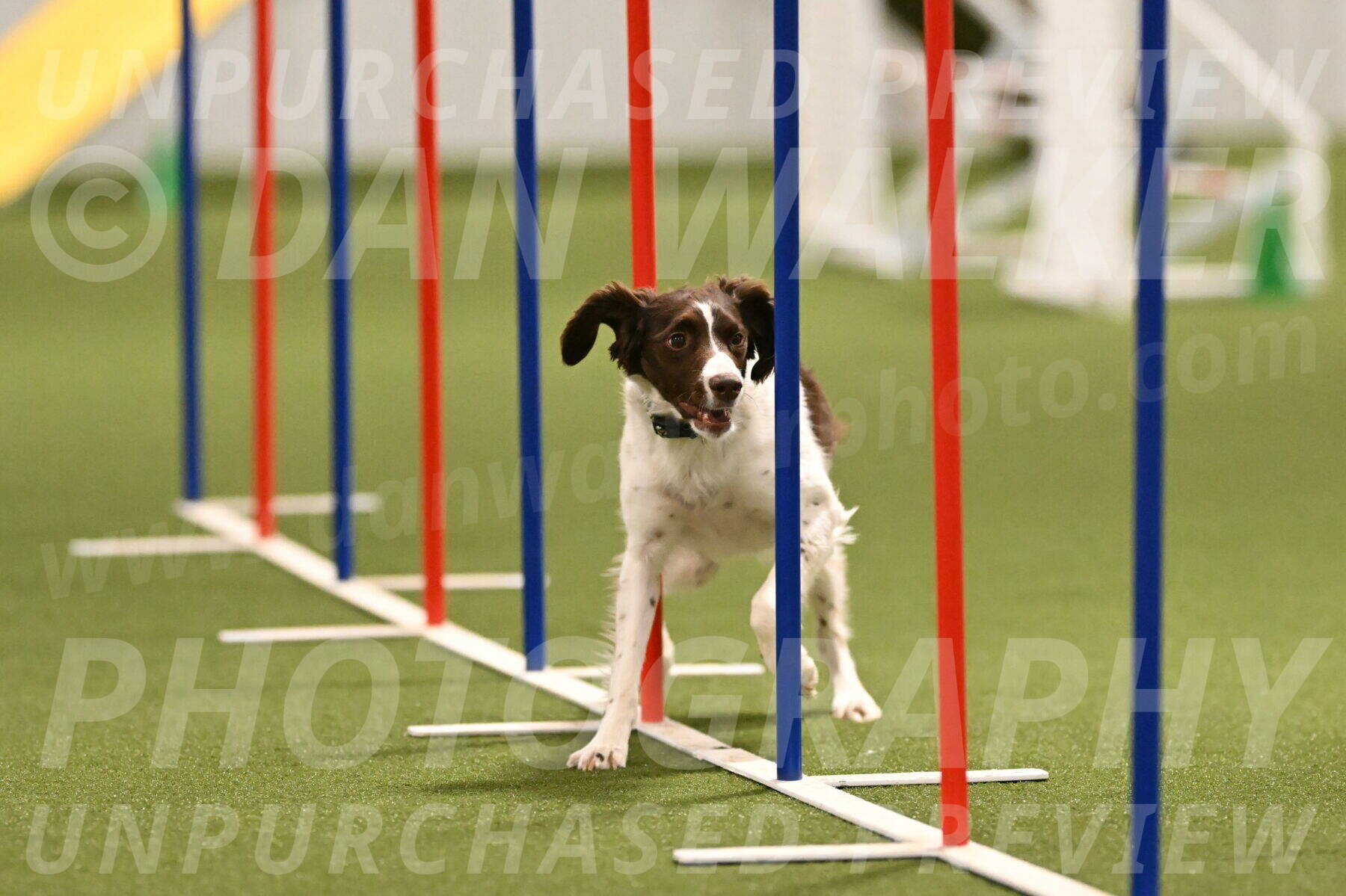 Karma-Sandy-and-Jeff-Crighton-03311