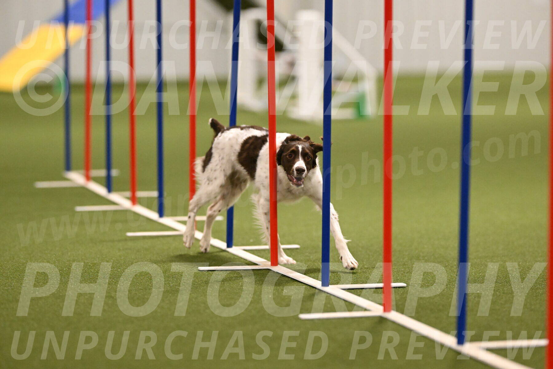 Karma-Sandy-and-Jeff-Crighton-03312