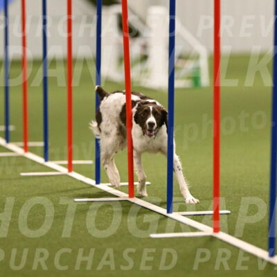 Karma-Sandy-and-Jeff-Crighton-03313