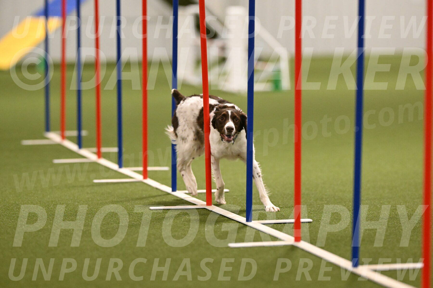 Karma-Sandy-and-Jeff-Crighton-03313