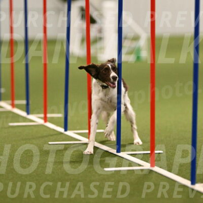 Karma-Sandy-and-Jeff-Crighton-03314