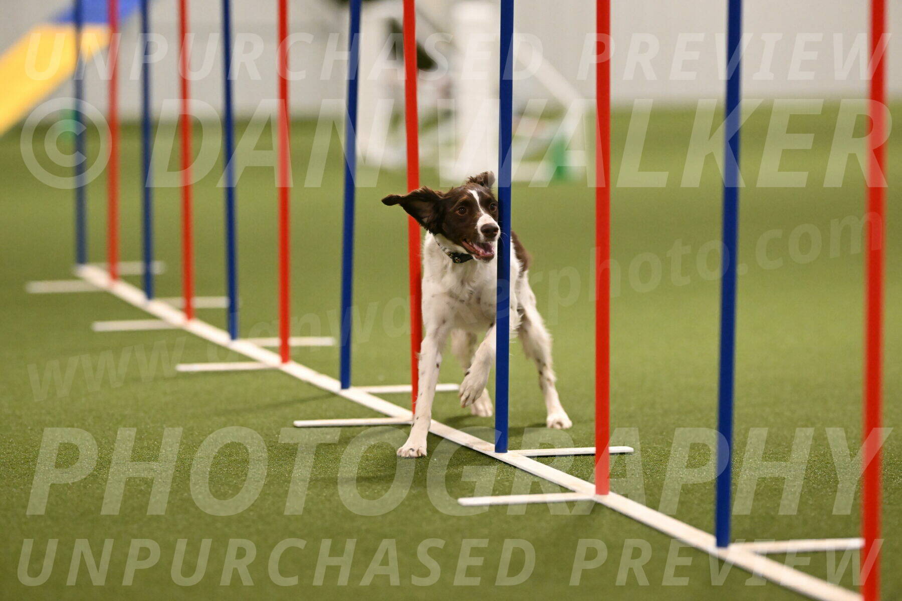 Karma-Sandy-and-Jeff-Crighton-03314