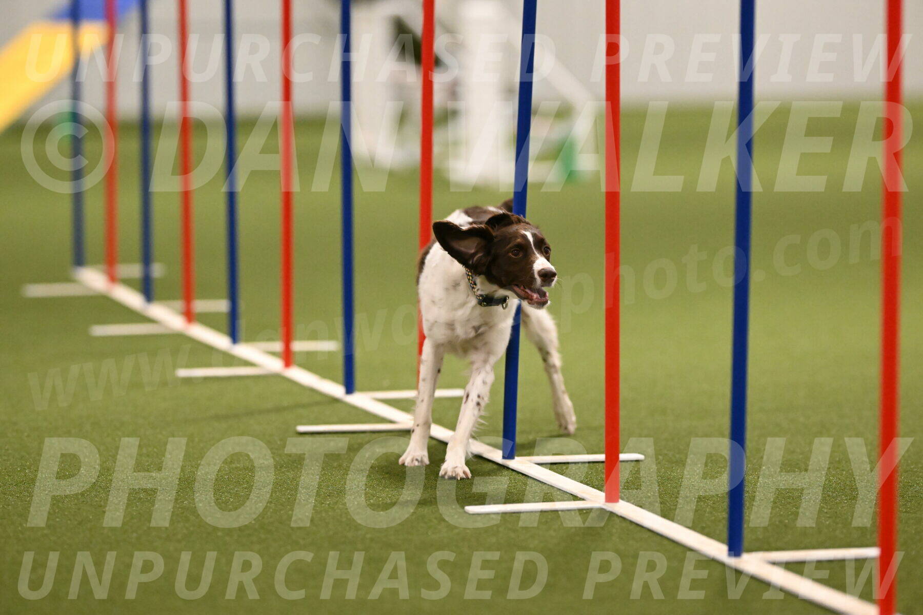 Karma-Sandy-and-Jeff-Crighton-03315