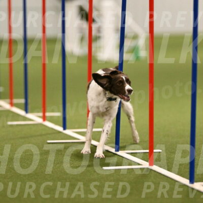 Karma-Sandy-and-Jeff-Crighton-03315