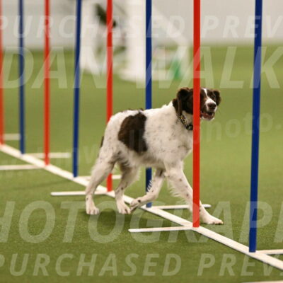 Karma-Sandy-and-Jeff-Crighton-03316