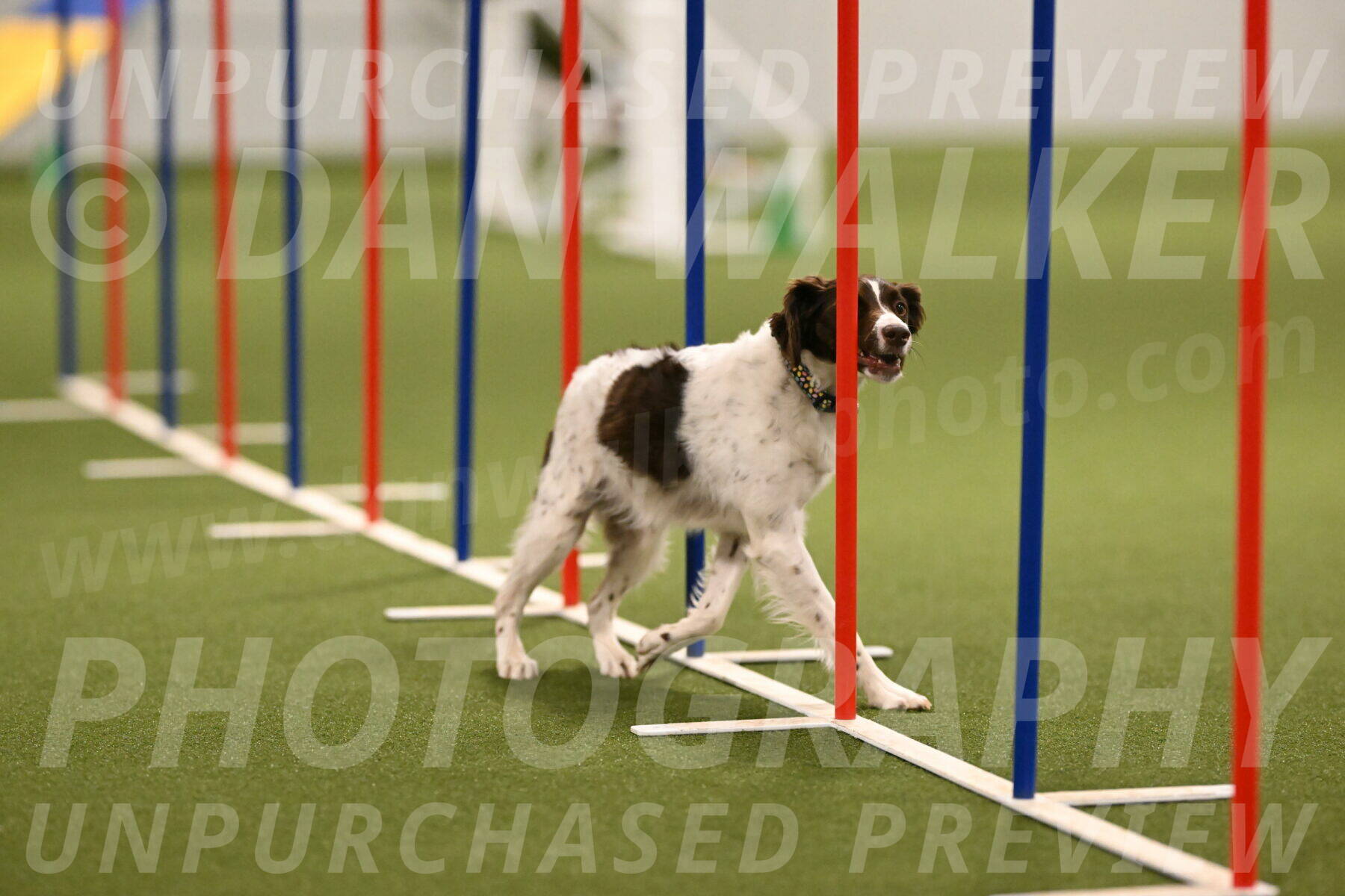 Karma-Sandy-and-Jeff-Crighton-03316